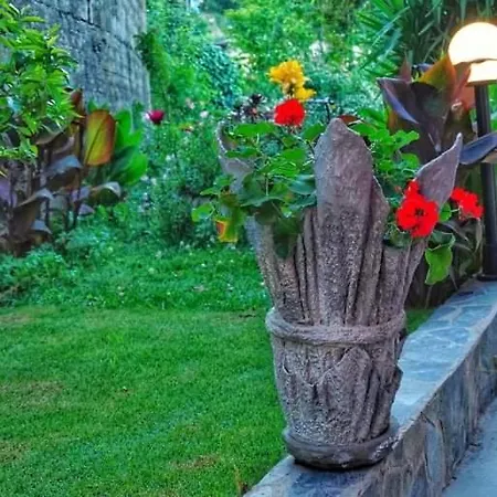 σπιτι αντωνησ γιαννα House Adonis Giana Prázdninový dům *