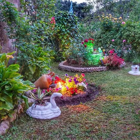σπιτι αντωνησ γιαννα House Adonis Giana Ano Pavliana