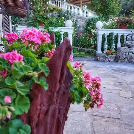 σπιτι αντωνησ γιαννα House Adonis Giana * Ano Pavliana