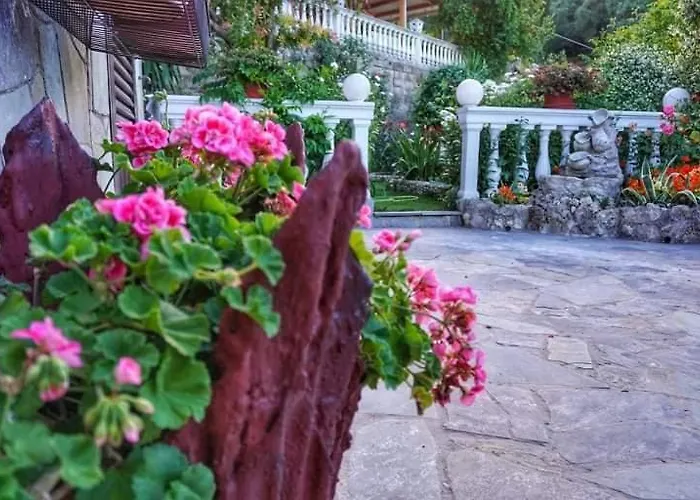 σπιτι αντωνησ γιαννα House Adonis Giana * Ano Pavliana